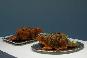 terracotta, chia, water, beaver, beavers