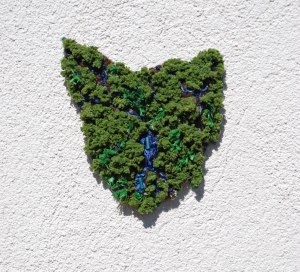 beardo, beards, lady beards, lady, pubic hair, map of tasmania, shaving, styles, euphemisms, the natural state, spirit of tasmania