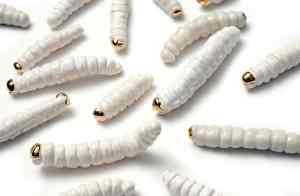 stoneware, porcelain, earthenware, witchetty, grubs, bugs, caterpillar, slug,